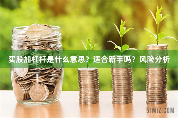 买股加杠杆是什么意思？适合新手吗？风险分析